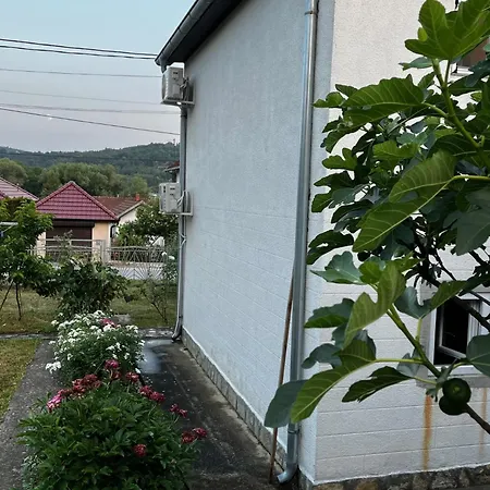 Apartment Fida *